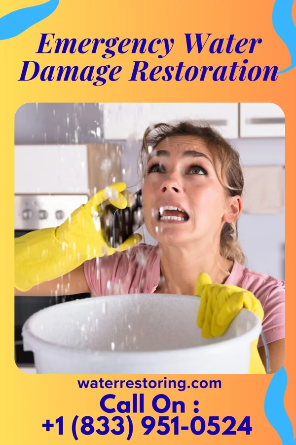Emergency Water Damage Restoration in Picacho Hills, NM