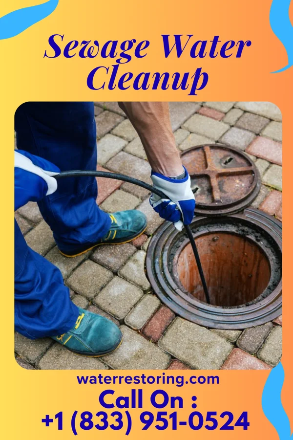 Sewage Water Cleanup in Picacho Hills, NM